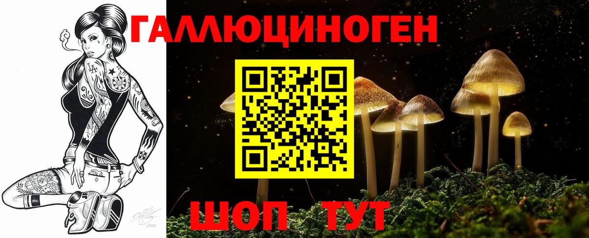 Галлюциногенные грибы Psilocybine cubensis  Вход с VPN  Гурьевск 